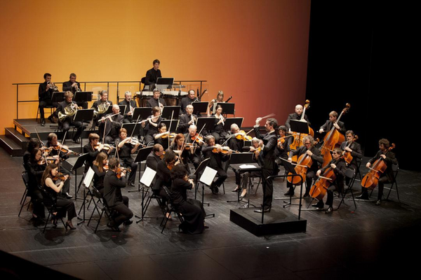 Au coeur de l'orchestre (Opéra de Limoges)