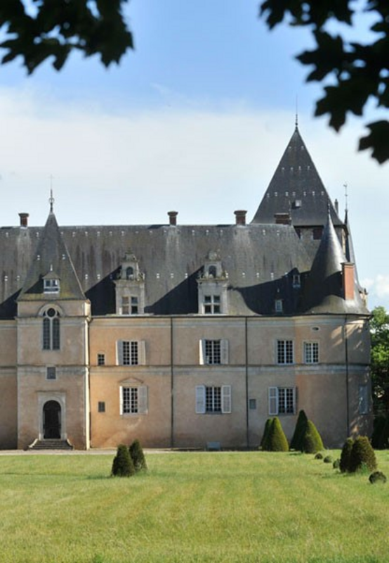 Visite du Château de Fléville (Château de Fléville)