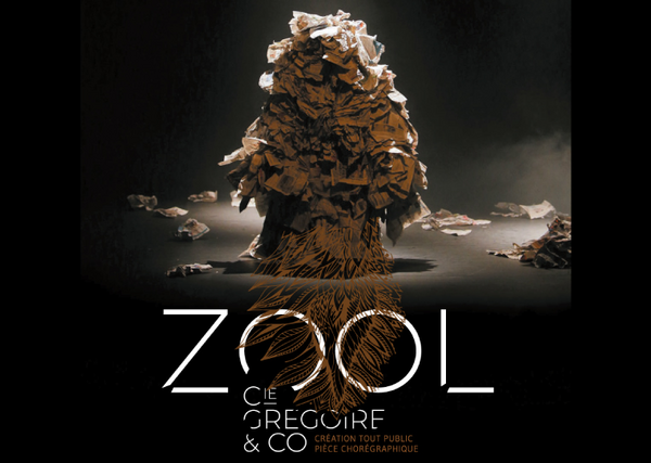 Cie Grégoire And Co   Zool (Centre Culturel Pole Sud )