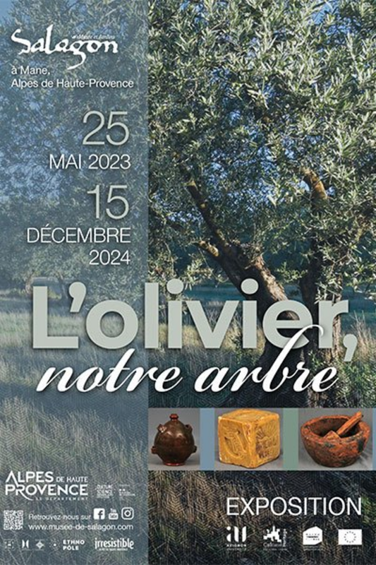 Exposition temporaire : L'olivier, notre arbre (Salagon, musée et jardins)