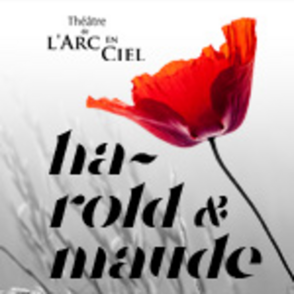 Harold Et Maude (Cartoucherie - Théâtre de l'Epée de Bois)