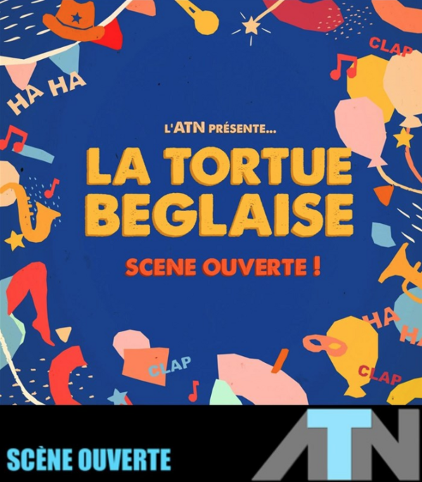 La Tortue Béglaise (Atelier Terres Neuves - Domaine de Raba)