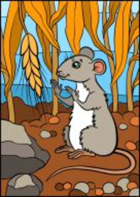 Les aventures du rat Patatra (La Comédie De Grenoble)