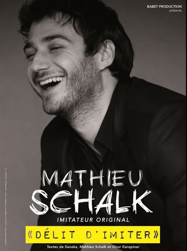 Mathieu Schalk Dans Délit D'imiter (Théâtre Métropole)