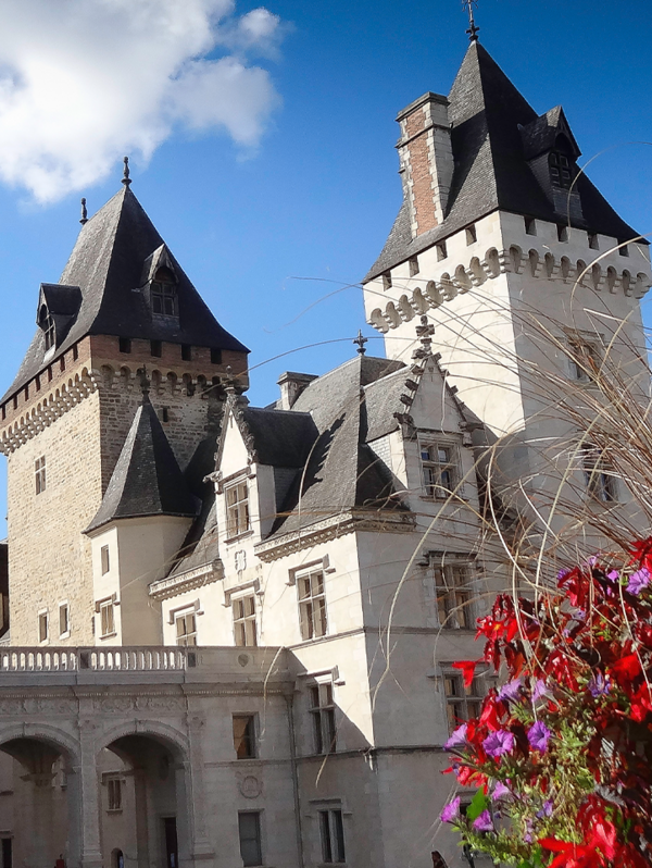 Musée National et Domaine du Château de Pau (Musée national et Domaine du Château de Pau)
