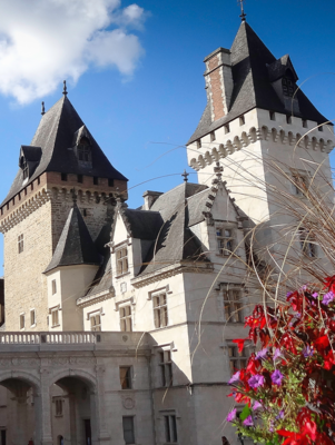 Musée National et Domaine du Château de Pau