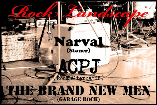 Narval + Acpj +The Brand New Men (Toï Toï Le Zinc)