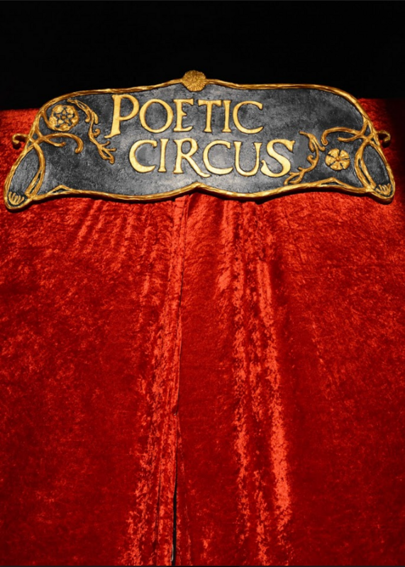 Poetic Circus (Théâtre Pixel )