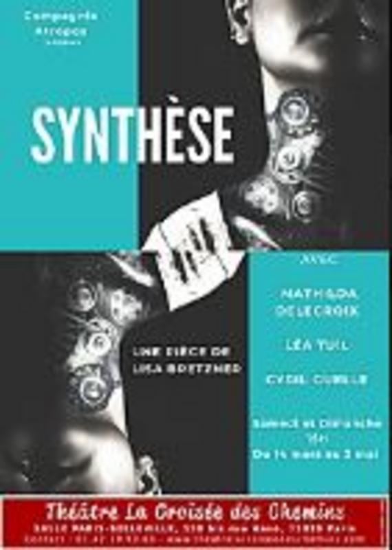 Synthèse (Théâtre La Croisée des Chemins-Salle Belleville)