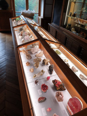 Visite guidée : Musée de Minéralogie