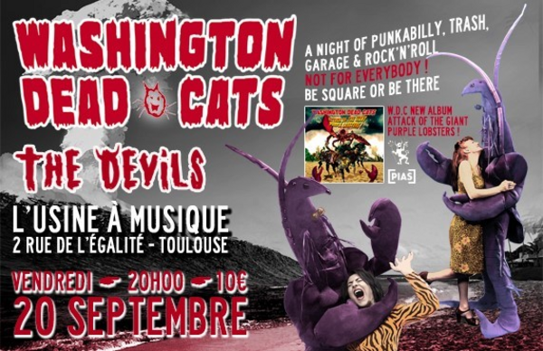 Washington Dead Cats + The Devils (L'Usine à musique)