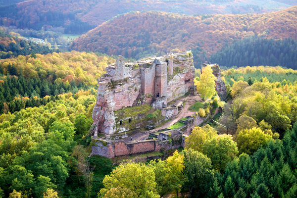 Château fort de Fleckenstein  (Lembach)